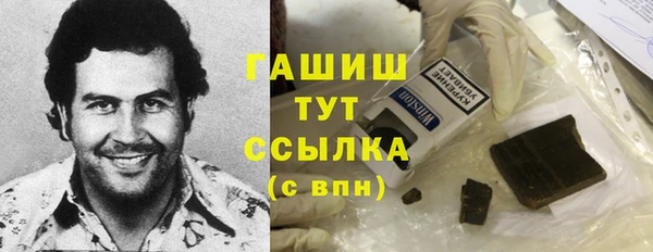 индика Покачи