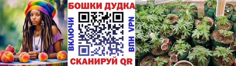 блэк спрут ТОР что такое наркотик Волчанск Бошки марихуана ГИДРОПОН